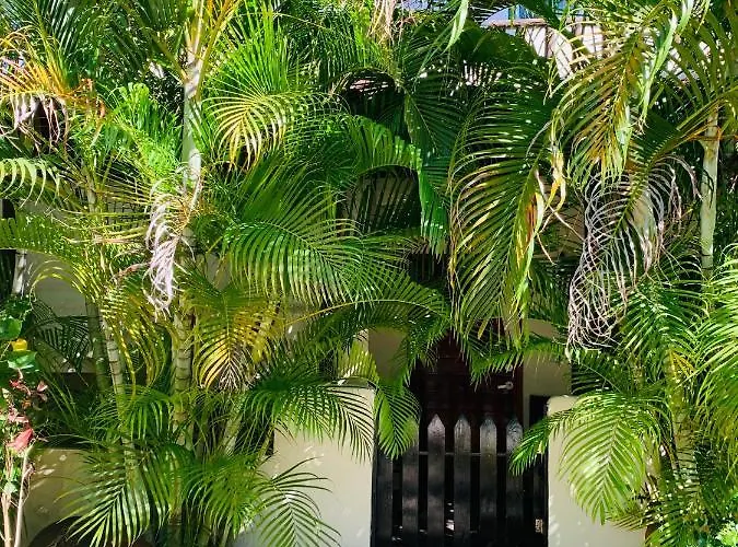 La Casa De Leo Recamara 1 Cardiell Qroo Playa del Carmen